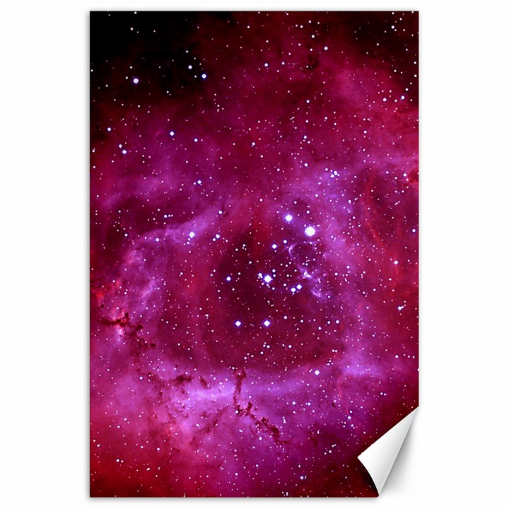 ROSETTE NEBULA 1 Canvas 20  x 30  