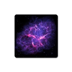 Pia17563 Square Magnet by trendistuff