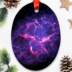 Pia17563 Oval Ornament (two Sides) by trendistuff