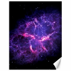 Pia17563 Canvas 12  X 16   by trendistuff