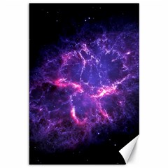 Pia17563 Canvas 12  X 18   by trendistuff