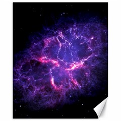 Pia17563 Canvas 16  X 20   by trendistuff