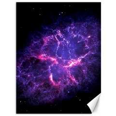 Pia17563 Canvas 36  X 48   by trendistuff