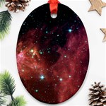 BARNARD 30 Ornament (Oval) 