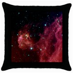 BARNARD 30 Throw Pillow Cases (Black)