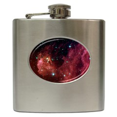 Barnard 30 Hip Flask (6 Oz) by trendistuff