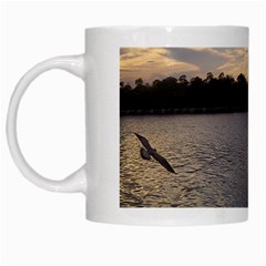 Intercoastal Seagulls 3 White Mugs