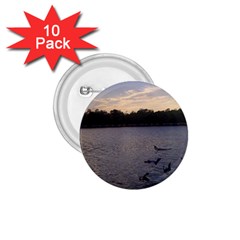 Intercoastal Seagulls 3 1 75  Buttons (10 Pack) by Jamboo