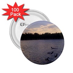 Intercoastal Seagulls 3 2 25  Buttons (100 Pack) 