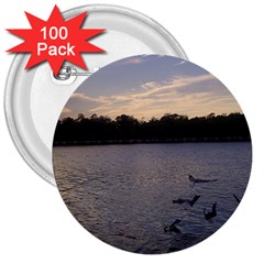 Intercoastal Seagulls 3 3  Buttons (100 Pack) 