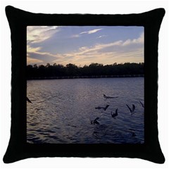 Intercoastal Seagulls 3 Throw Pillow Cases (black) by Jamboo