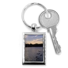 Intercoastal Seagulls 3 Key Chains (rectangle)  by Jamboo