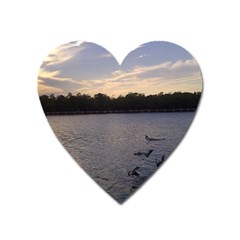 Intercoastal Seagulls 3 Heart Magnet