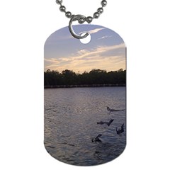 Intercoastal Seagulls 3 Dog Tag (one Side)