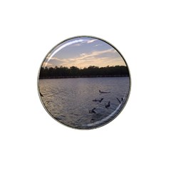 Intercoastal Seagulls 3 Hat Clip Ball Marker