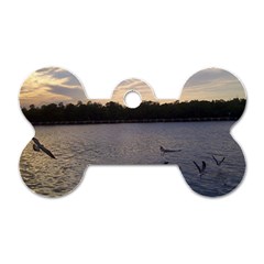 Intercoastal Seagulls 3 Dog Tag Bone (one Side)