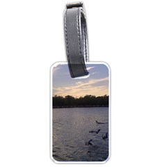 Intercoastal Seagulls 3 Luggage Tags (one Side)  by Jamboo