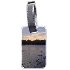 Intercoastal Seagulls 3 Luggage Tags (two Sides)