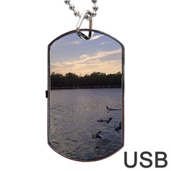 Intercoastal Seagulls 3 Dog Tag Usb Flash (two Sides) 