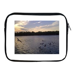 Intercoastal Seagulls 3 Apple Ipad 2/3/4 Zipper Cases by Jamboo