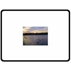 Intercoastal Seagulls 3 Double Sided Fleece Blanket (large) 