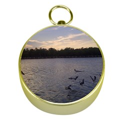 Intercoastal Seagulls 3 Gold Compasses