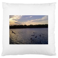 Intercoastal Seagulls 3 Large Flano Cushion Cases (one Side) 