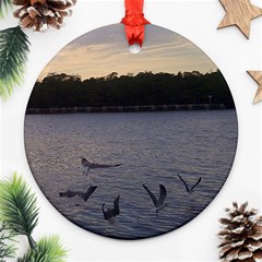 Intercoastal Seagulls 3 Ornament (round)  by Jamboo