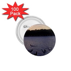 Intercoastal Seagulls 3 1 75  Buttons (100 Pack)  by Jamboo