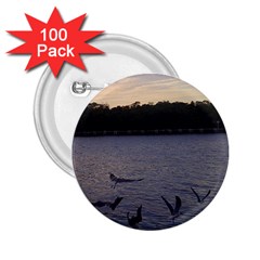 Intercoastal Seagulls 3 2 25  Buttons (100 Pack)  by Jamboo