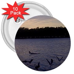 Intercoastal Seagulls 3 3  Buttons (10 Pack)  by Jamboo