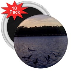 Intercoastal Seagulls 3 3  Magnets (10 Pack)  by Jamboo