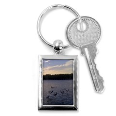 Intercoastal Seagulls 3 Key Chains (rectangle)  by Jamboo