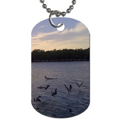 Intercoastal Seagulls 3 Dog Tag (one Side)