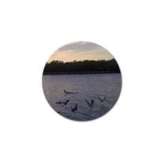 Intercoastal Seagulls 3 Golf Ball Marker by Jamboo