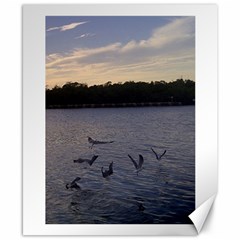 Intercoastal Seagulls 3 Canvas 8  X 10 