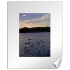 Intercoastal Seagulls 3 Canvas 11  X 14  