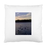 Intercoastal Seagulls 3 Standard Cushion Cases (Two Sides)  Front