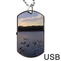 Intercoastal Seagulls 3 Dog Tag Usb Flash (one Side) by Jamboo