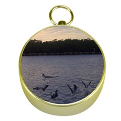 Intercoastal Seagulls 3 Gold Compasses