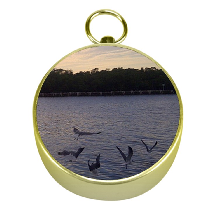 Intercoastal Seagulls 3 Gold Compasses