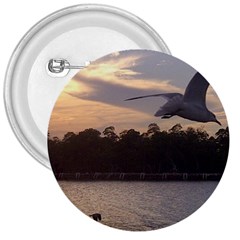 Intercoastal Seagulls 4 3  Buttons by Jamboo