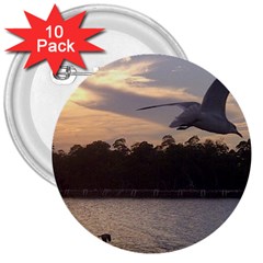 Intercoastal Seagulls 4 3  Buttons (10 Pack)  by Jamboo