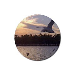 Intercoastal Seagulls 4 Rubber Coaster (round) 