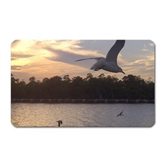 Intercoastal Seagulls 4 Magnet (rectangular)