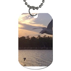 Intercoastal Seagulls 4 Dog Tag (two Sides) by Jamboo