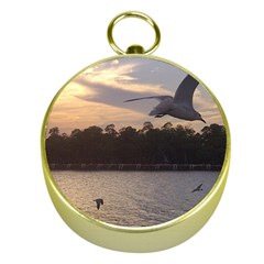 Intercoastal Seagulls 4 Gold Compasses