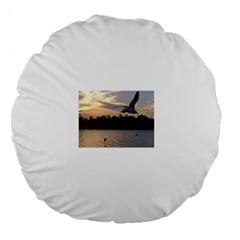 Intercoastal Seagulls 4 Large 18  Premium Flano Round Cushions