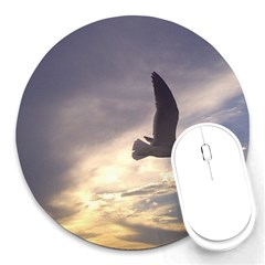 Seagull 1 Round Mousepads by Jamboo