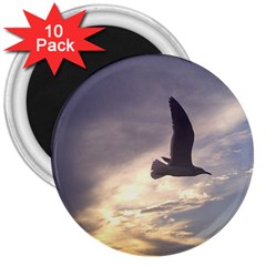 Seagull 1 3  Magnets (10 Pack)  by Jamboo